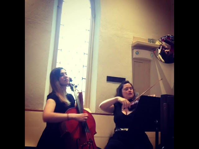 Butterfly Waltz performed by Ariana Strings duet
