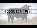 Foggie Edris. For sale May 2020