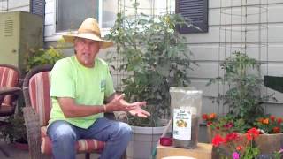 Simple Compost Tea Recipe: From Nevada Compost