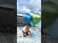 Por esta razón NUNCA juegues con GLOBOS 🥺