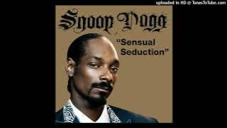 Snoop Dogg - Sensual Seduction (Explicit   Alt. Outro)