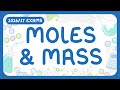 Understanding Moles and Chemical Calculations