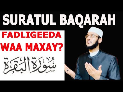 Surad Al Baqara Fadligeeda Waa Maxay Goormana La Aqriya Halkee Lagu Aqriyaa DR AHMED AL YAMANI