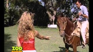 Salta, Finca El Bordo - Zoo Bichos