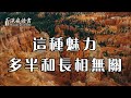 擁有這種魅力的人，多半命很好！他能悄悄改變一個人【深夜讀書】