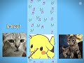 1k de likes y le cuento sobre mi otro gato