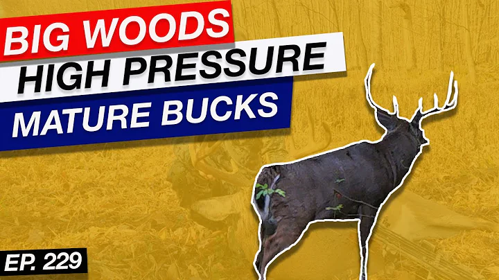 Big WoodS, High Pressure, & Mature Bucks | Greg Li...
