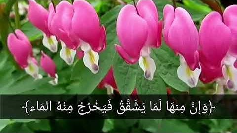 ما تيسر من سورة البقـــرة |القارئ مصطفى الجعفري