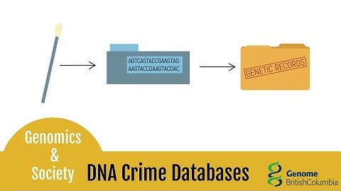 DNA Crime Databases - Genes & Society - Genome BC
