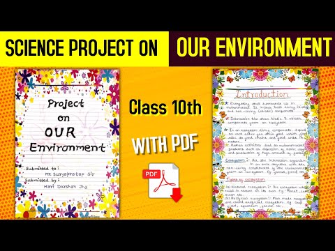 Science Project File In The Topic Of Our Environment Of Class 10 CBSE With PDF