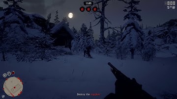 Red Dead Online Is It Possible To Quick Scope\No Scope With Snipers?