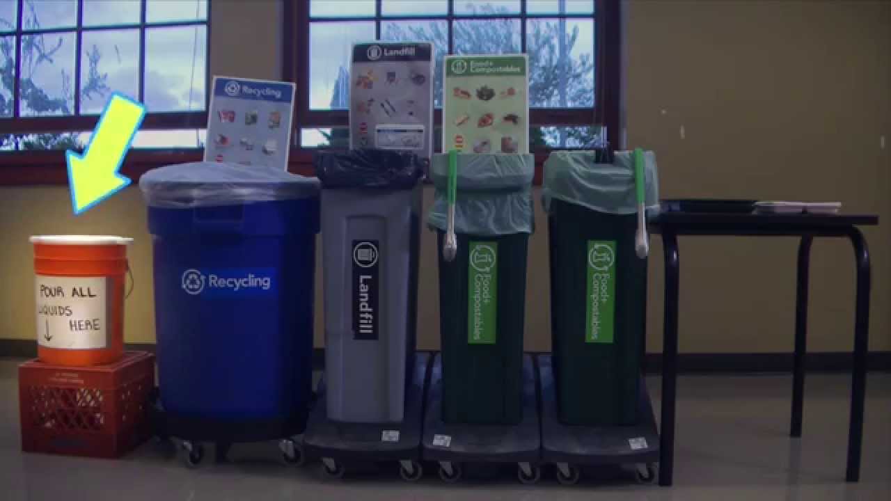how to set up a worm composting bin with step-by-step