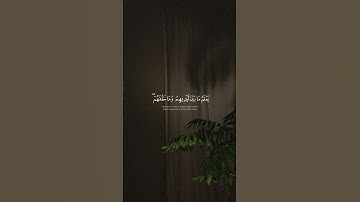اية الكرسي #قران_كريم #quran #عبدالله_الموسى #سورة_البقرة #اية_الكرسي