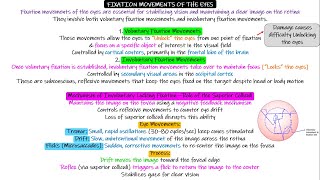 Fixation Of Eye, Superior Colliculus, Strabismus. Chapter 52 Part 7. Guyton And Hall Physiology.