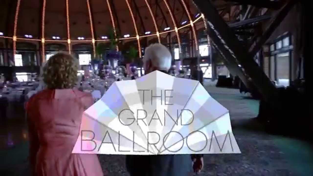 Banner Collective Animation Reel