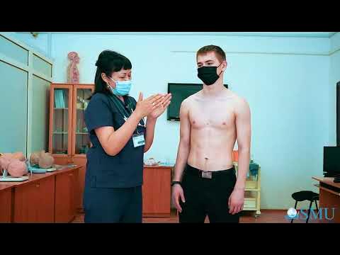 Үлкен кеуделі семіз балапан Үлкен кеуделі семіз балапан