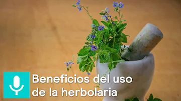 ¿Cuál es el uso de la herbolaria en la actualidad?