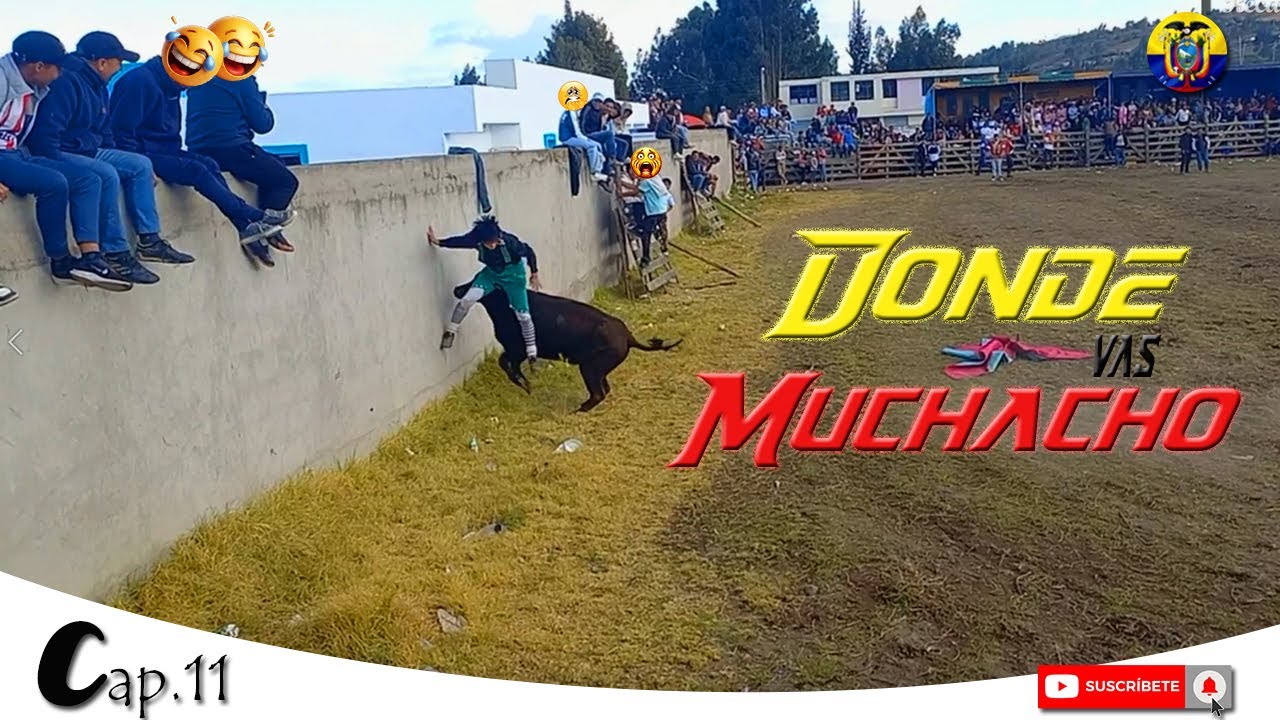 toros populares 2025 | Poalo 🤕| Risas 🤡🐂 Danza | Susto mortal | Cap. 11