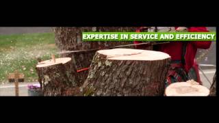 Tree Removal NJ