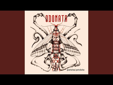 Odonata X-1 — A Calm Valley