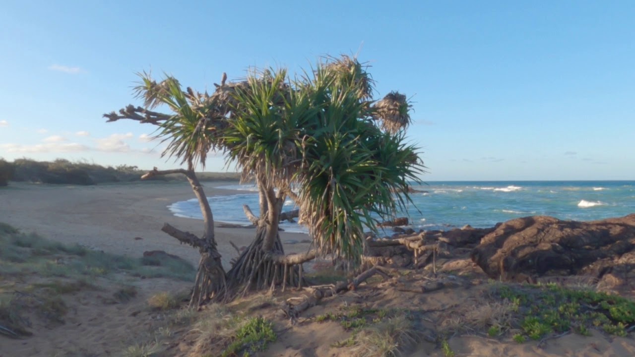 Deepwater National Park Qld YouTube