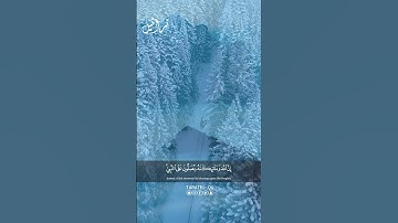 إن الله وملائكته يصلون على النبي القارئ عبدالرحيم الداودية