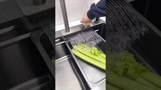 Sink Design For Modular Kitchen Kitchen Organiser