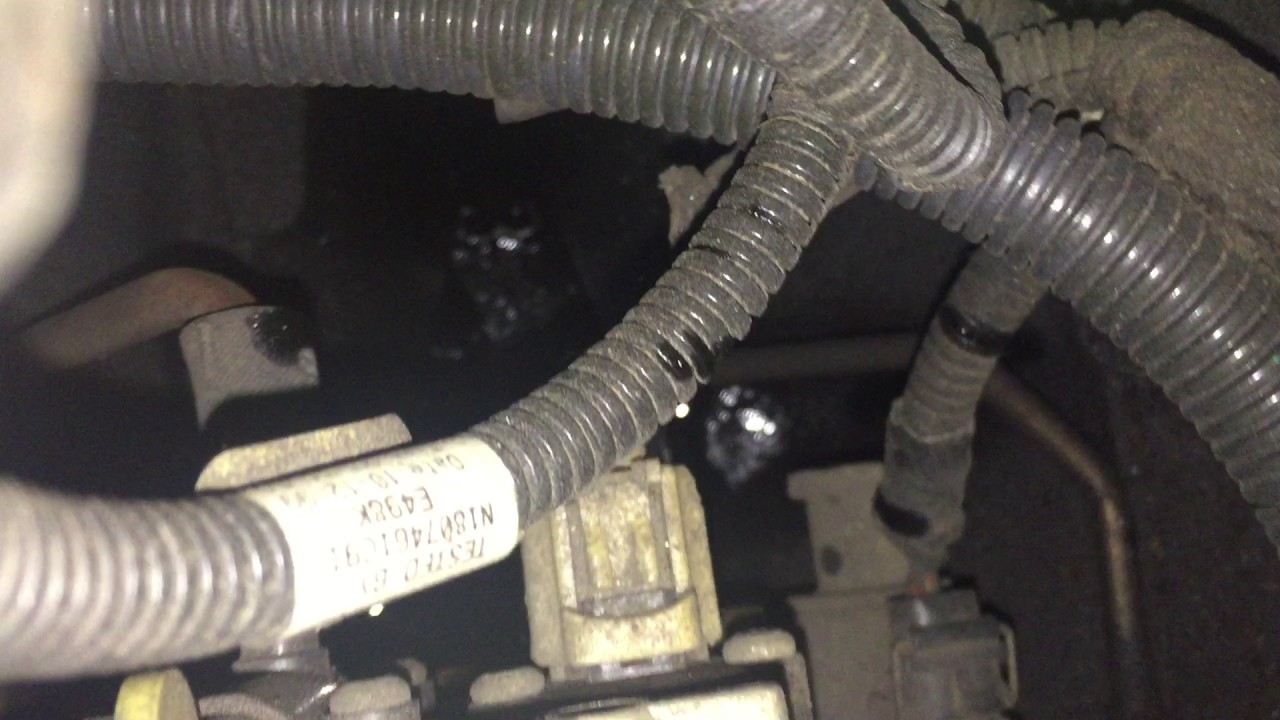 Oil leak discovery YouTube