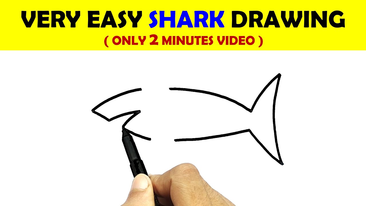 How to Draw a Shark (Easy Step by Step) - Crafty Morning