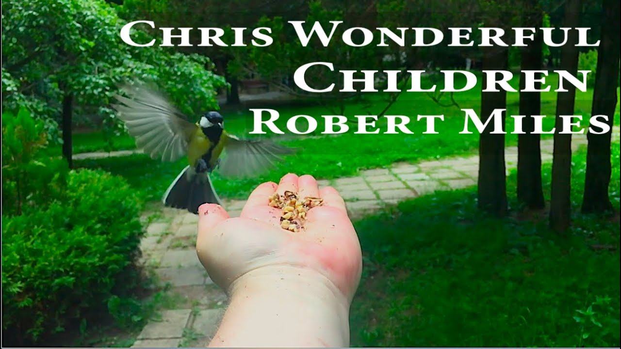 Chris Wonderful - "Children" (Robert Miles)