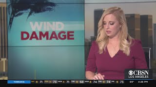 Strong Winds Wreak Havoc Across Southland