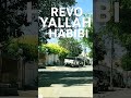 REVO YALLAH HABIBI