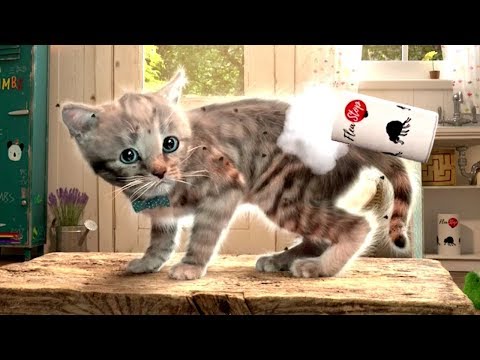 baby-learn-colours-with-my-little-kitten-adventures-—-children-animation-educational-cartoon-game-hd
