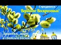 Вербное Воскресенье история, традиции и приметы. Что нельзя делать в этот день? 25 апреля 2021