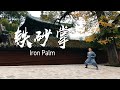 Shaolin iron palm | 少林铁砂掌：心外无物，悟道修行