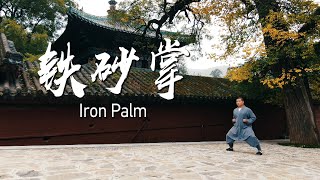 Shaolin iron palm | 少林铁砂掌心外无物悟道修行