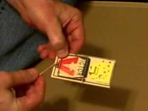 How To Set a Mouse Trap and Where to Put Mouse Traps - YouTube
