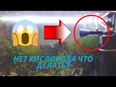 Видео: Как использовать газовые клапаны в аквариуме