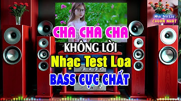 Nhạc Không Lời RẤT HAY - Hòa Tấu Organ Disco Nhạc Sống Cha Cha Cha - Nhạc Test Loa Chuẩn Nhất