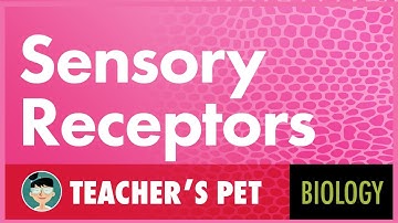 Sensory Receptors