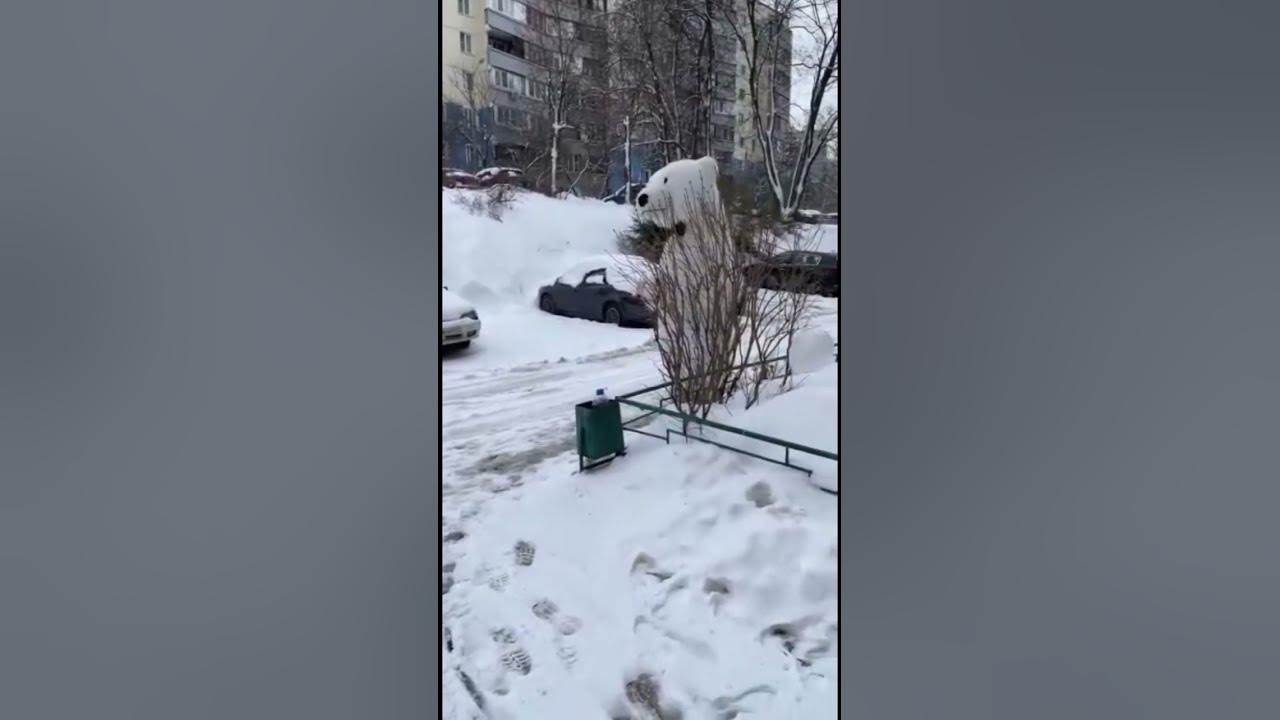 Митя🐻‍ ️Приехал Поздравить Соню С Днем Рождения 🎈🎉🎊 Желаем ей Счастья и ...