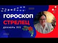 СТРЕЛЬЦЫ Лучший Гороскоп Декабря 2023. Очень Важный Месяц – Ваше Время Настало. От Любви до Фортуны