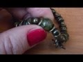Авторские украшения. Браслеты для Светланы. Jewellery made of natural stones. Necklaces, bracelets.