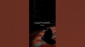 قرآن كريم راحة نفسية - أكتب شيئ تؤجر عليه 🤲🏻 🤍