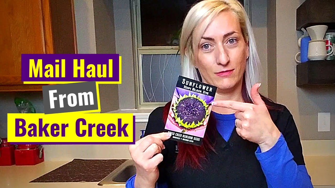 See What Baker Creek Sent Us Unboxing YouTube