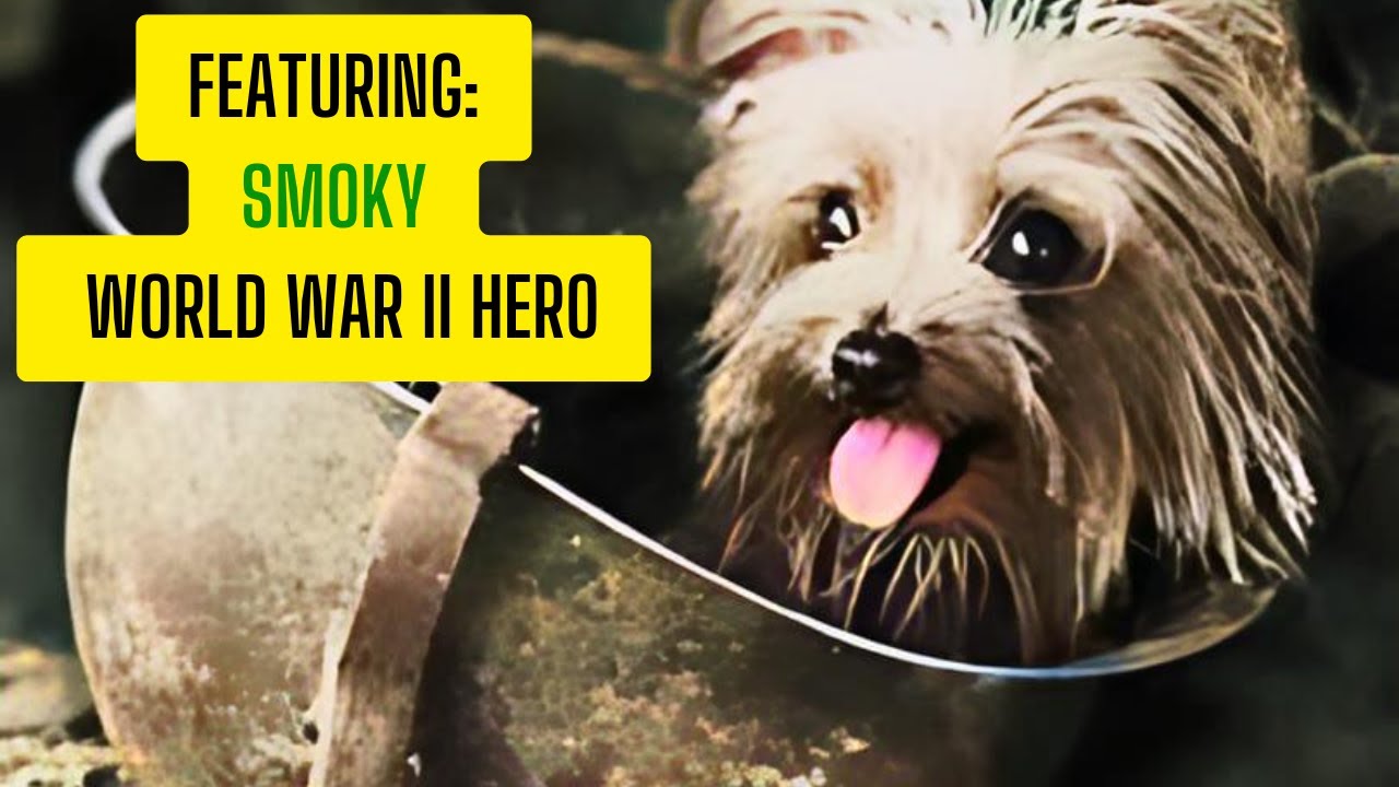 The Unbelievable True Story of Smoky the War Dog
