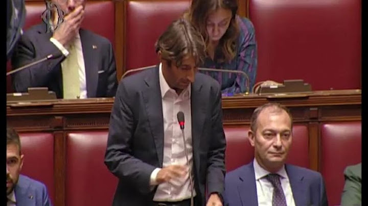 Donzelli: Boldrini fece foto con finanziatore di Hamas