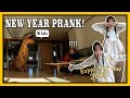 NEW YEAR in KOREA | PRANK MY LOLA WITH T-REX AIR SUIT! // DASURI CHOI