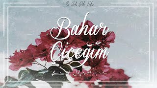 Bahar Çiçeğim (Aşk Şiirleri) | Burak Sertdemir Resimi