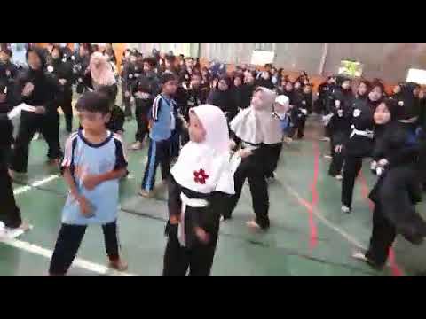 7000+ Gambar Elang Petir HD 7000+ Gambar Elang Petir HD